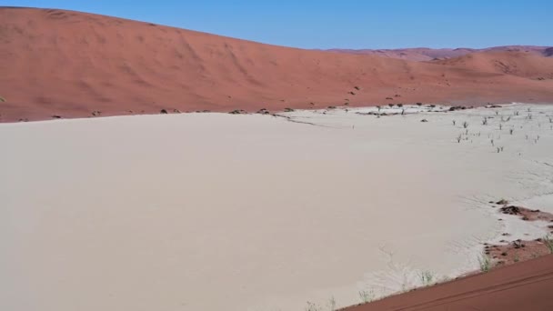 Lenyűgöző Sivatagi Kilátás Deadvlei Namíbiában — Stock videók