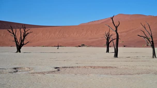 Prachtig Uitzicht Deadvlei Bij Sossusvlei Namibië — Stockvideo