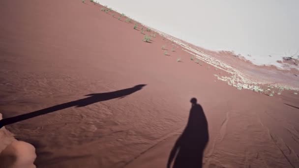 Ombres Deux Randonneurs Sur Une Dune Sable Deadvlei Namibie — Video