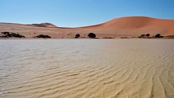 Vue Rare Lac Temporaire Face Une Dune Sable Sossusvlei Namibie — Video
