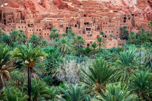 Palm Träd Oas Med Ruiner Bakgrunden Tinghir Marocko Royaltyfria Stockbilder