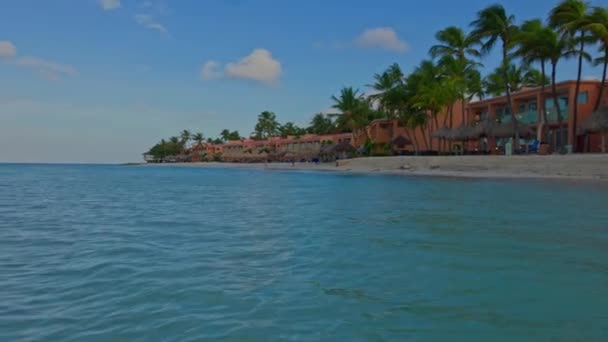 Vista Deslumbrante Praia Privada Hotel Oceano Praia Areia Branca Palmeiras — Vídeo de Stock