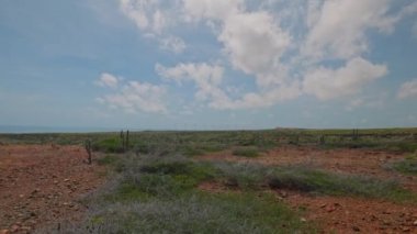 Mavi arka planda rüzgar enerjili türbinlerin güzel manzarası. Aruba, Doğu Yakası.