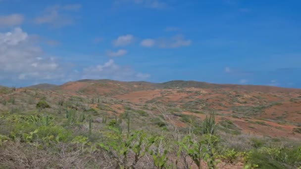 Bella Vista Del Deserto Montagna Con Vegetazione Sulla Costa Occidentale — Video Stock