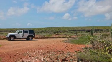 Ulusal park yolundaki taştan çölde güzel bir beyaz araba manzarası. Aruba. 