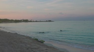 Aruba adasının kumlu plajında güneş doğarken Karayip kıyılarının güzel manzarası.