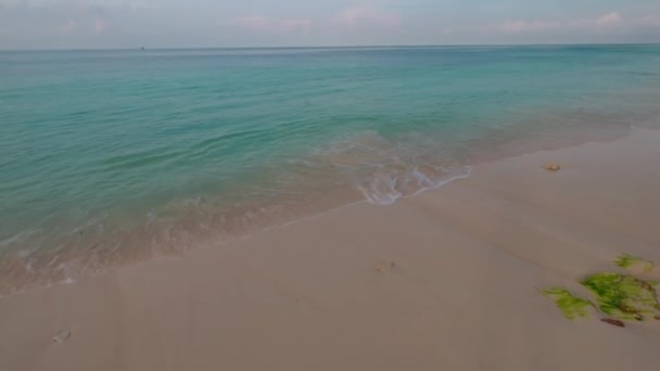 Vacker Utsikt Över Lugna Vågor Rullar Sandkusten Aruba Atlanten — Stockvideo
