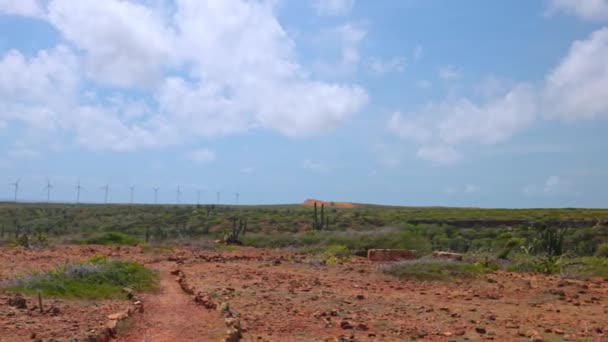 View Wind Power Turbines Blue Sky Background Aruba East Coast — Stock Video