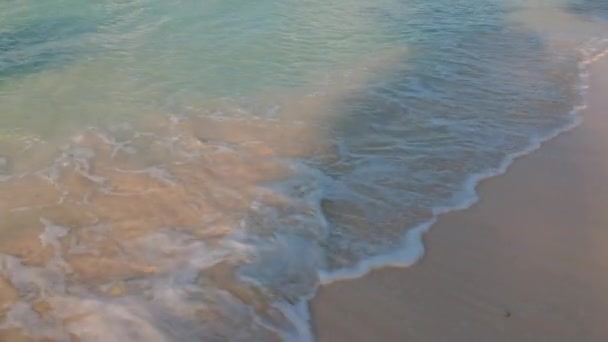 夜明けに大西洋の海岸に砂浜があるホテルの美しい景色 アルバ島 — ストック動画