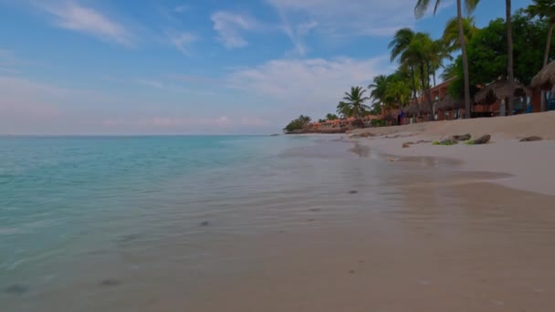 파도가 소유의 호텔을 질주하는 대서양 해안의 아루바 — 비디오