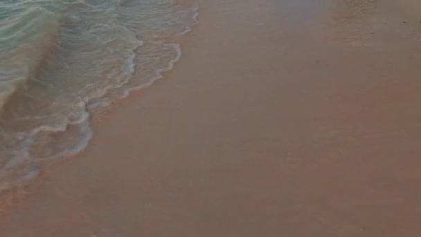 대서양의 파도가 해변의 아루바 — 비디오