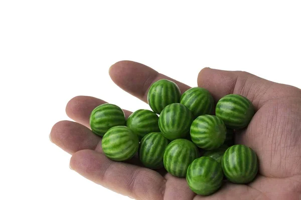 Zicht Watermeloen Bel Kauwgom Hand Van Mens — Stockfoto