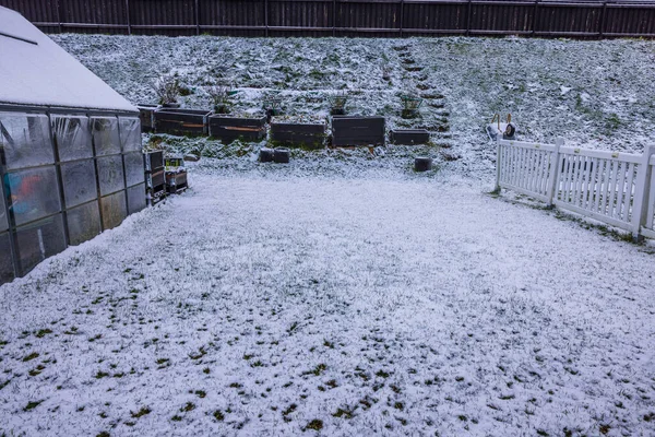 Gyönyörű Téli Kilátás Kis Kert Üvegház Eper Ágy Raklapokon Hóval — Stock Fotó