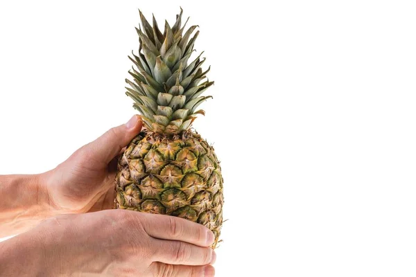 Nahaufnahme Von Händen Die Ananas Isoliert Auf Weißem Hintergrund Halten — Stockfoto
