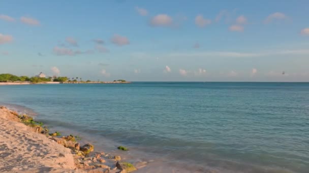水平線に青い空と合併大西洋の砂浜と穏やかな水面の眺め アルバ — ストック動画