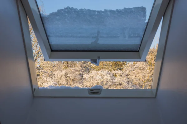 View from snow covered dormer window on roof of house to forest trees covered with snow on frosty sunny winter day. Sweden.