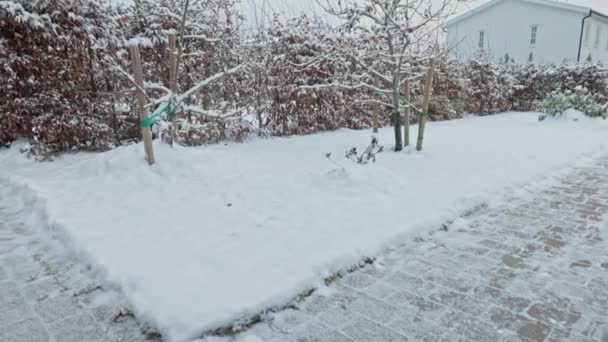 Schöner Winterblick Auf Den Privaten Garten Mit Schneebedeckten Bäumen Und — Stockvideo