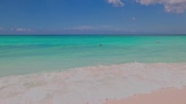 Atlantik Okyanusu 'nun turkuaz suyu ve pelikanın suda yüzdüğü güzel bir manzara. Aruba.