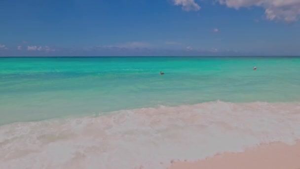 Beautiful View Turquoise Water Atlantic Ocean Pelican Floating Water Aruba — Vídeos de Stock