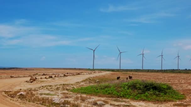 Close View Wind Turbines Desert Caribbean Coast Blue Sky Aruba — Αρχείο Βίντεο