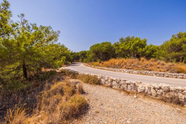 Beautiful view of nature with rock road in mountains between tropical plants. Greece.