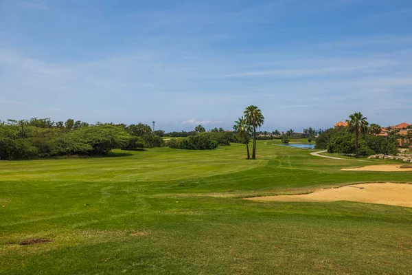 Gorgeous view of green grass golf field on background  blue sky on Aruba island. 
