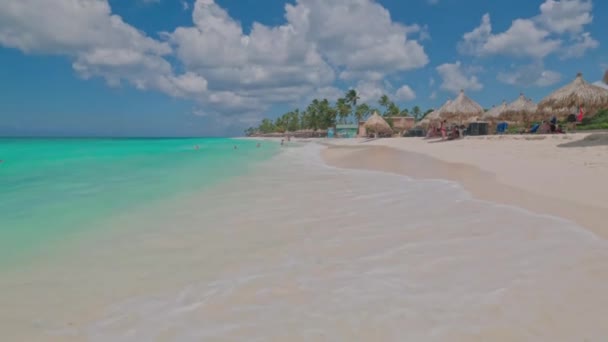 아루바섬 비치의 모래사장에 대서양의 굽이쳐 흐르는 — 비디오