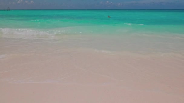 海岸に波が来て大西洋の砂浜とターコイズブルーの水面にかわいいペリカンの美しい景色 アルバ — ストック動画