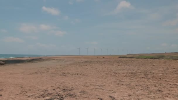 Technology View Wind Turbines Desert Caribbean Coast Blue Sky Aruba — Vídeos de Stock