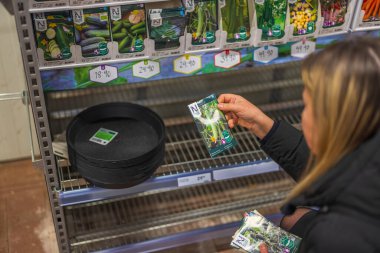 Close-up view of woman choosing cucumber seeds for sowing. Gardening concept. Sweden. Uppsala 02.15.2023.