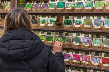 Woman chooses bags of vegetable seeds to grow in her garden. Sweden. 