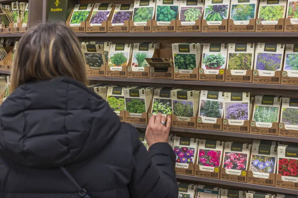 Woman chooses bags of vegetable seeds to grow in her garden. Sweden. 