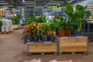 Beautiful colorful interior view of Plantagen boutique. Uppsala, Sweden. 02.14.2023.