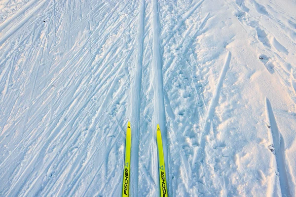 Beautiful View Yellow Plastic Skis Fischer Snowy Ski Track Sweden — Stock Photo, Image