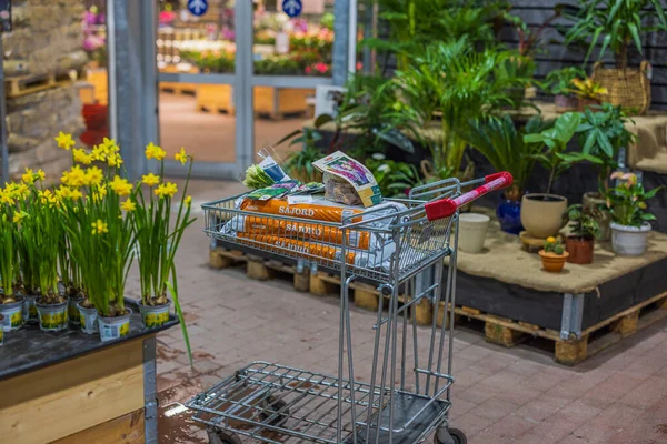 近景小车在商店与购买花园用品种植植物 乌普萨拉 2023 — 图库照片