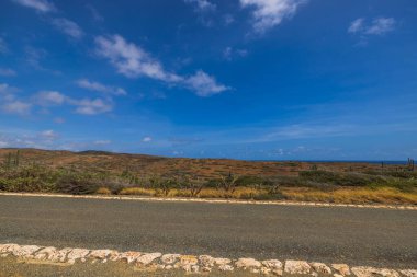 Aruba Arikok Ulusal Parkı 'nın güzel tropikal doğa manzarası. Aruba. 