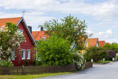 Leylak açan bahçe ağaçlarıyla dolu güzel bir köy manzarası. Uppsala. İsveç. Avrupa. 