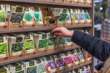 Kadın tezgahtan sebze tohumu seçiyor. Bahçe işleri konsepti. İsveç. Uppsala. 03.12.2023.