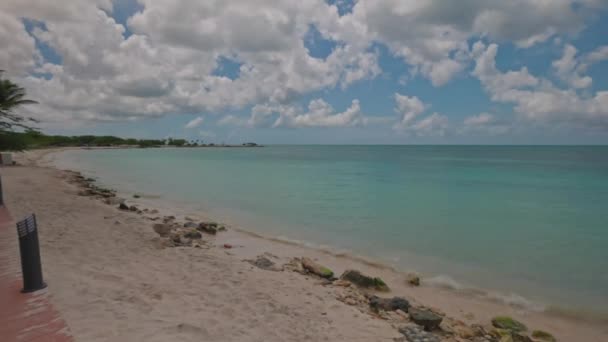 海岸ターコイズブルーの水の上に波が入ってくる大西洋の砂浜イーグルビーチの美しい景色 アルバ — ストック動画