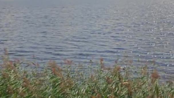 Вид Природный Ландшафт Легкая Рябь Поверхности Воды Озера — стоковое видео