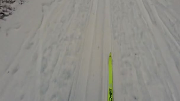 Blick Aus Nächster Nähe Auf Gelbe Fischer Skier Aus Plastik — Stockvideo