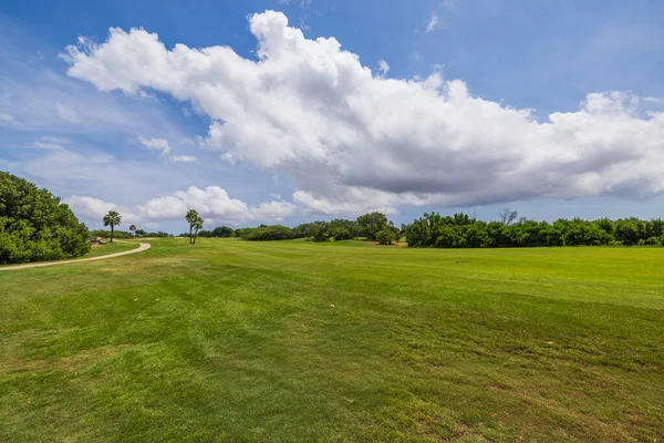 Schöne Ansicht Des Grünen Grases Golfplatz Auf Dem Hintergrund Blauer — Stockfoto