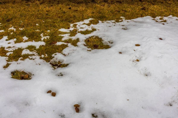 Krásný Výhled Jarní Krajinu Zbytky Sněhu Loňské Trávě — Stock fotografie