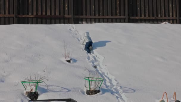 子供は晴れた冬の日に裏庭の雪の丘を登る スウェーデン — ストック動画