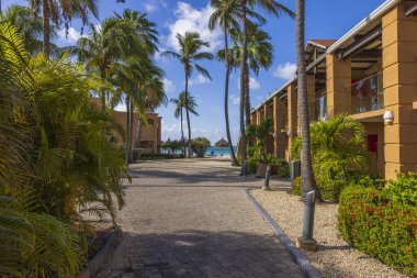 Atlantik Okyanusu kıyısında palmiye ağaçları olan güzel bir bölge oteli manzarası. Aruba.