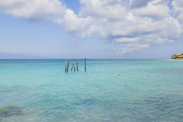 Hermosa Vista Costa Del Océano Atlántico Isla Aruba Con Troncos — Foto de Stock