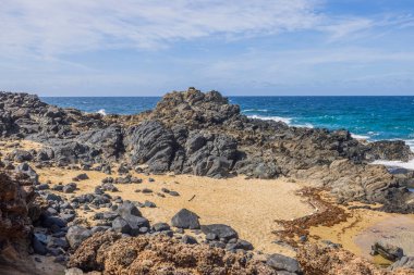 Güzel kayalık kıyı şeridi ve Atlantik Okyanusu 'nun mavi su yüzeyi. Aruba. 