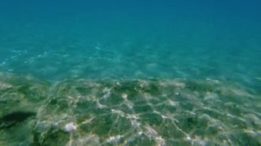 Şnorkelle yüzerken Akdeniz 'in muhteşem sualtı dünyası manzarası. Yunanistan.
