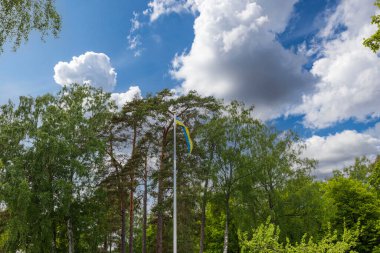 İsveç bayrağının arka plan ağaçlarına ve beyaz bulutlu mavi gökyüzüne karşı muhteşem manzarası. İsveç. 