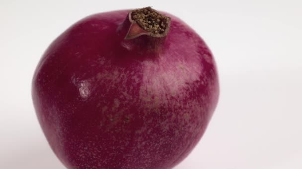 배경에 분리되어 석류를 매크로보는 — 비디오